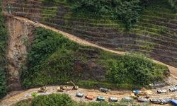Jaga Hutan Terakhir, Gubernur Se-Papua Kolaborasi Pembangunan Berkelanjutan