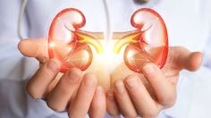 [POPULER EDUKASI] 3 Makanan Minuman Merusak Ginjal | Biaya Sekolah Pilot | Hanya 10 Persen PTS yang Sehat