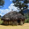 Rumah Adat di Papua, dari Honai sampai Rumah Pohon