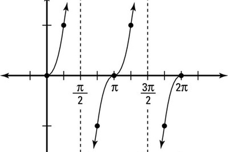 Sebuah grafik y = tan x, grafik atau plot garis tangen memiliki nilai tak terdefinisi pada n*pi/2 untuk n bilangan positif.