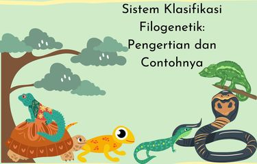 Sistem klasifikasi filogenetik adalah pengelompokan makhluk hidup berdasarkan urutan filogenetiknya. Bagaimana contoh sistem klasifikasi filogenetik?