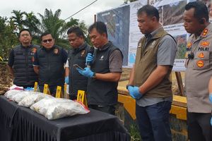 Kementerian Kehutanan Ungkap Asal-Usul Pohon yang Terbawa Banjir di Batangtoru, Tapanuli Selatan