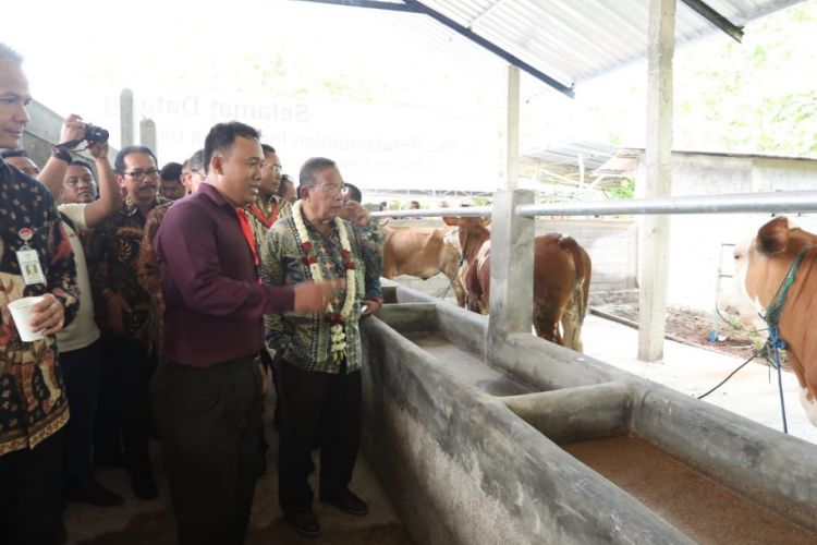 Menko Perekonomian Darmin Nasution bersama Gubernur Jawa Tengah Ganjar Pranowo saat peluncuran KUR khusus peternakan rakyat di Desa Kebonagung Kabupaten Wonogiri, Kamis (6/12/2018). 