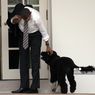 Barack Obama, Dulu Urus USA, Kini NBA