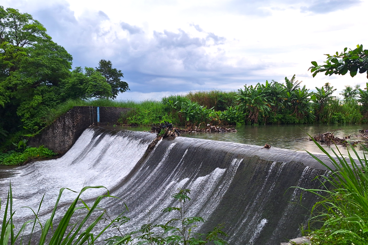 Bendung Bagor di Kecamatan Juwiring, Klaten, berperan penting dalam mendistribusikan air ke enam desa yang bergantung pada sistem irigasi pertanian.