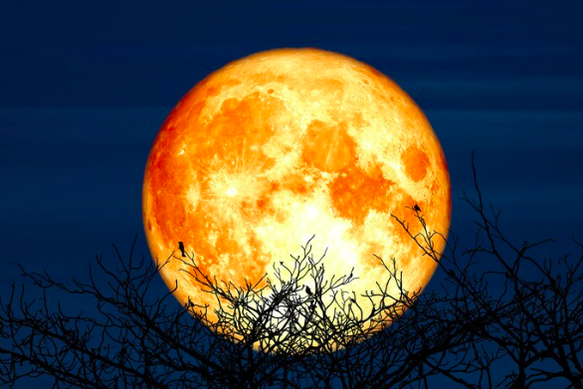 Fenomena Supermoon yang terjadi pada 15 Oktober 2024 akan menjadi Supermoon terakhir di tahun 2024