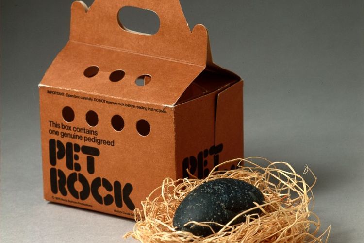 Pet Rock