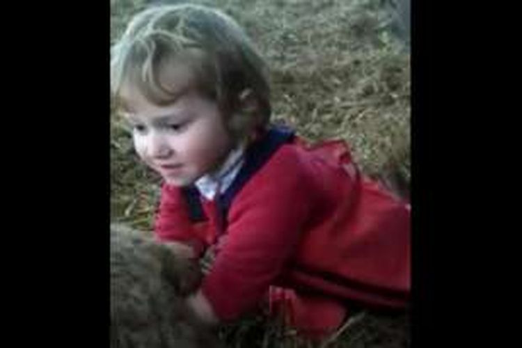 Video Rachel Nicholas di Facebook, berisi rekaman aksi putrinya, Lilly, sedang memasukkan tangannya ke dalam perut si domba untuk menarik keluar bayi domba. 