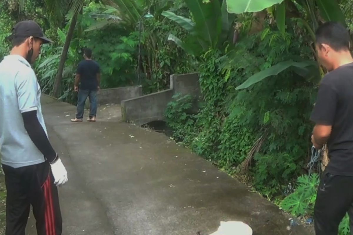 Petugas mengeleminasi anjing liar di Desa Busungbiu, Kecamatan Busungbiu, Kabupaten Buleleng, Provinsi Bali, Jumat (3/6/2022).