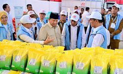 Perkuat Ketahanan Pangan Nasional, Bulog Jalin Kerja Sama dengan Koperasi Merah Putih