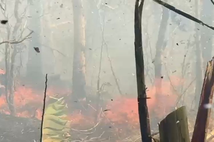 100 Warga Kompak Padamkan Kebakaran Lahan 4 Hektare di Perbukitan Kulon Progo