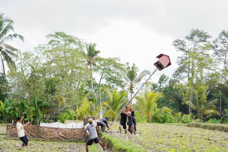Merawat Sawah, Menjaga Asa, Sang Penjaga Malam Berkolaborasi dengan Petani Gianyar