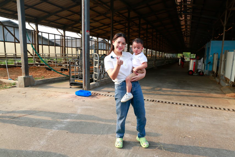 Nagita Slavina dan Cipung berkunjung ke peternakan sapi