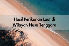 Hasil Perikanan Laut di Wilayah Nusa Tenggara