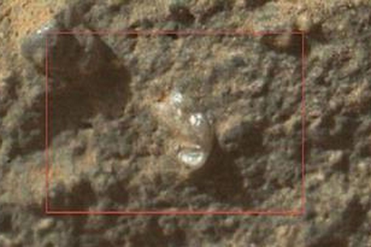 Citra "bunga" di planet Mars.