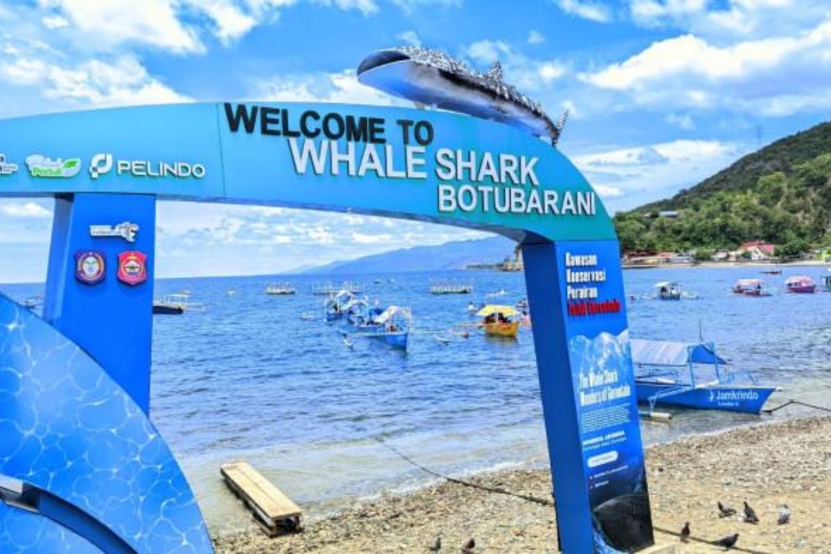 situs slot boongo 7 Wisata Gorontalo yang Wajib Dikunjungi, Ada Surga Bawah Laut Indonesia
