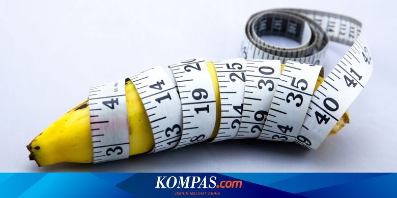 Kapan Penis Mulai Tumbuh, Dan Kapan Berhenti? Halaman All - Kompas.com