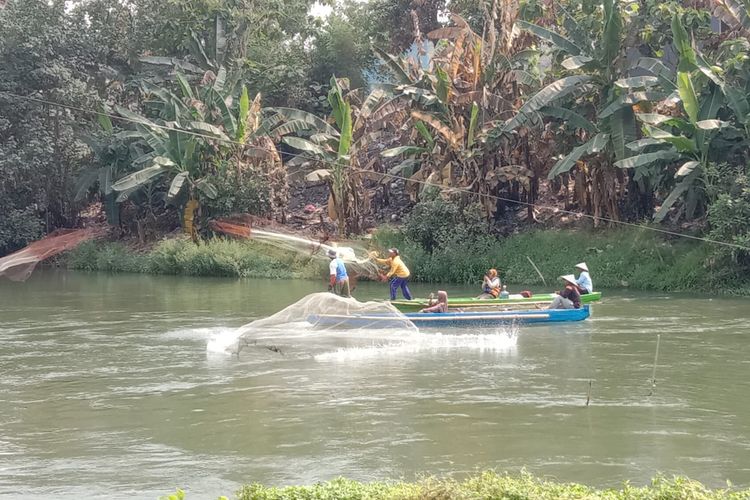 Aktivis Ecoton melakukan sensus ikan di Sungai Surabaya, salah satu aliran sungai pecahan Sungai Brantas, di Kabupaten Mojokerto, Jawa Timur, Sabtu (7/10/2023).