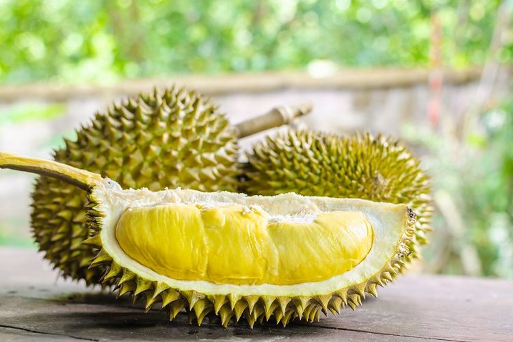 Ilustrasi buah durian. Ilmuwan di Singapura mengubah limbah kulit durian menjadi perban antibakteri.