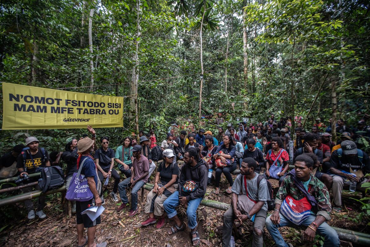 Lebih dari 100 anak muda adat Papua berkumpul di hutan desa milik masyarakat adat Knasaimos di Kampung Manggroholo-Sira, Distrik Saifi, Sorong Selatan, Papua Barat Daya. Mereka mengikuti kegiatan kemah anak muda adat bernama Forest Defender Camp yang diselenggarakan Greenpeace Indonesia berkolaborasi dengan Sadir Wet Yifi dan Bentara Papua pada 20-22 September 2023.