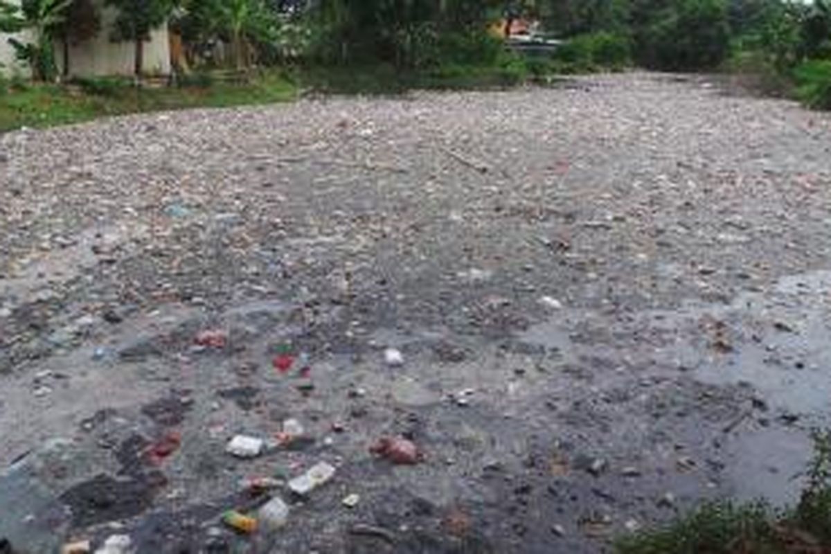 Kondisi Waduk Bujana Tirta di Pisangan Timur, Pulogadung, Jakarta Timur dipenuhi sampah. Selasa (5/11/2013).