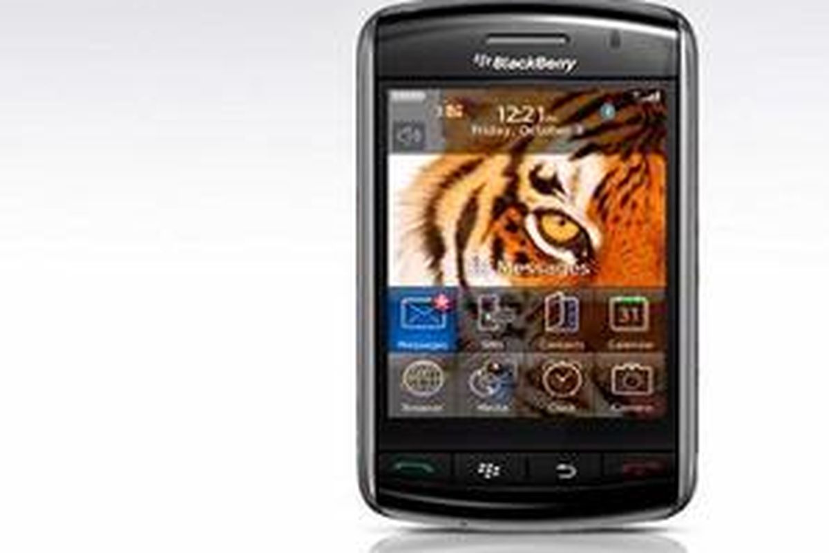 Blackberry Storm