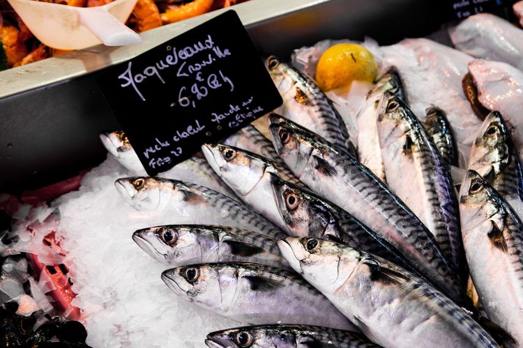 Ikan makarel, salah satu ikan kaya omega-3 bermanfaat untuk menaikan mood