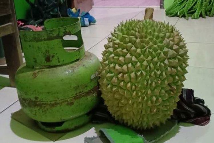 Durian Shinta, durian organik asal Semarang. 
