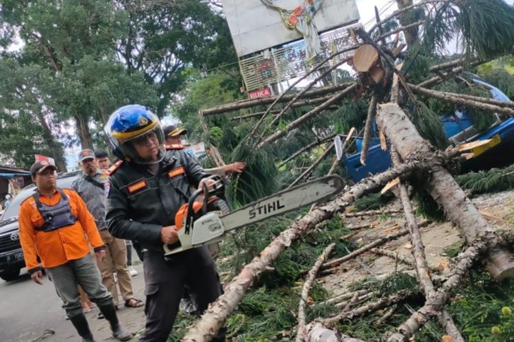 Petugas gabungan tengah berupaya mengevakuasi mobil angkot yang tertimpa pohon tumbang di jalur Puncak, Cianjur, Jawa Barat, Raby (5/2/2025).