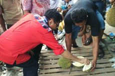 Djarot Makan Durian Saat 
