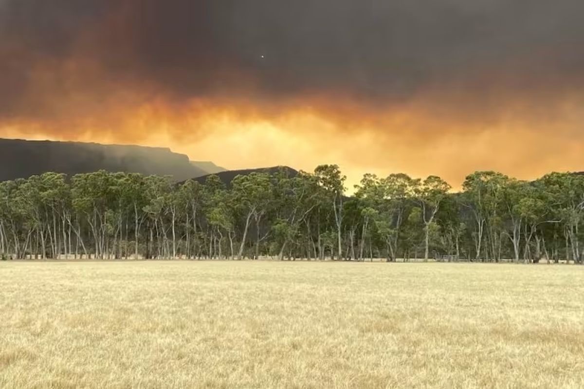 Kebakaran lahan melanda 34.000 hektar lahan di Australia. Diduga, bencana terjadi akibat petir. Ratusan warga telah dininta mengungsi. 