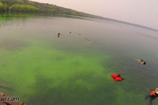 Berenang Bersama Ubur-ubur di Danau Kakaban