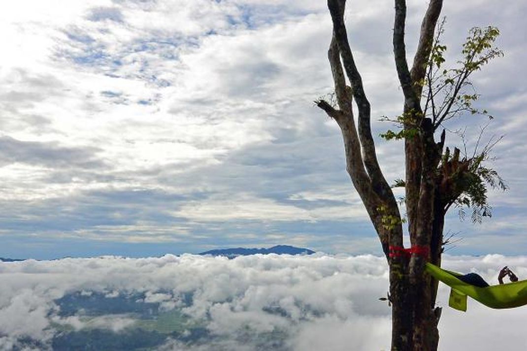 Lolai Toraja -3