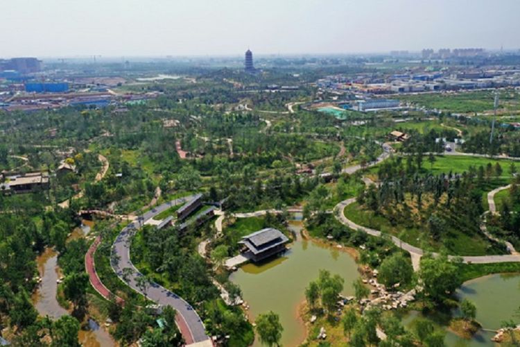 Foto dari udara yang diabadikan pada 1 September 2021 menunjukkan sebuah taman di Kawasan Baru Xiong'an di Provinsi Hebei, China utara. 