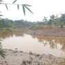 Dari Mafia Tanah hingga Anggaran, Masalah Pemprov DKI dalam Pembebasan Lahan untuk Normalisasi Sungai