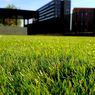 Kelebihan dan Kekurangan Menggunakan Rumput Sintetis di Halaman Rumah
