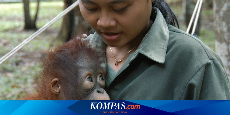 Tanggal 19 Agustus Memperingati Hari Apa?