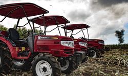 Pantau Sentra Hortikultura Boltim, Kementan Siap Bantu Fasilitas Petani