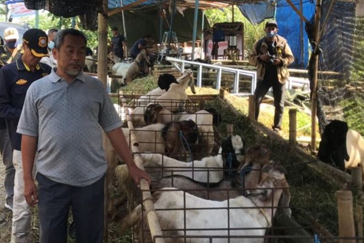 Satpol PP Kota Semarang saat sidak pedagang yang menjual hewan yang terpapar PMK. Senin (4/7/2022)
