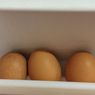 Harga 1 Kilogram Telur di Semarang Tembus Rp 32.000, Emak-emak Pusing