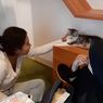 Datang ke Bilik Kucing Cat Cafe di Depok, Bisa Beli 2 Oleh-oleh Ini