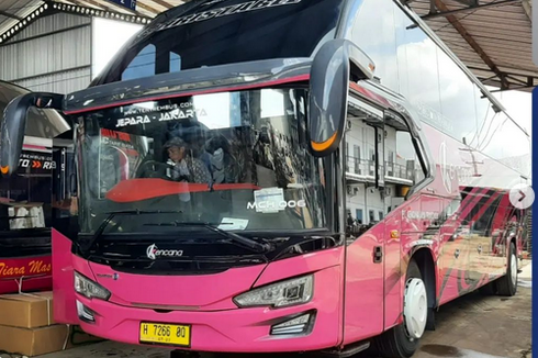Bus Baru Kencana Buatan Karoseri Tentrem, Livery Pink dan Abu-abu