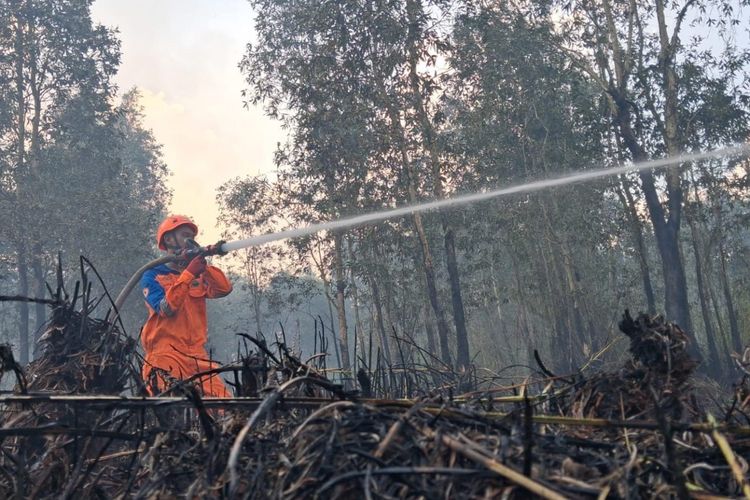 Karhutla di Banjarbaru Capai 60 Hektar, Wilayah Sungai Ulin Jadi yang Terparah