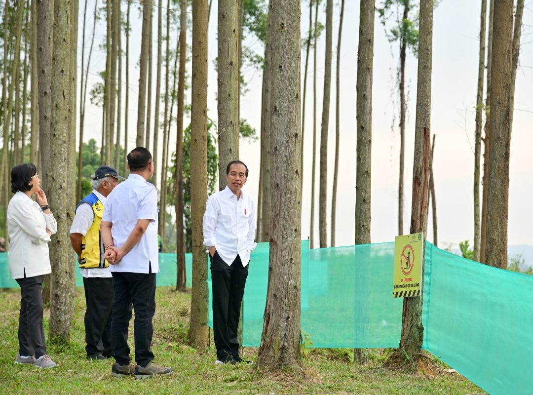 Pagi Hari di IKN, Jokowi Ajak Para Menteri Lihat Pemandangan hingga Sarapan Bersama