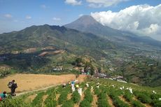 Catat, Jadwal Penutupan Jalur Pendakian Gunung Prau saat Lebaran 2021