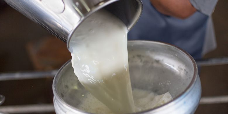 Ilustrasi susu dituang ke kontainer untuk diolah menjadi keju dan mentega. 
