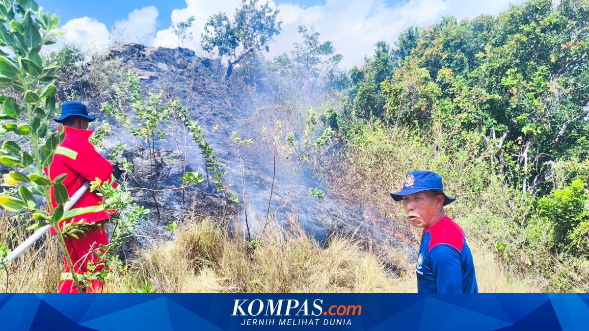 Memasuki Puncak Musim Kemarau, BMKG Ingatkan Potensi Kebakaran Lahan di Labuan Bajo