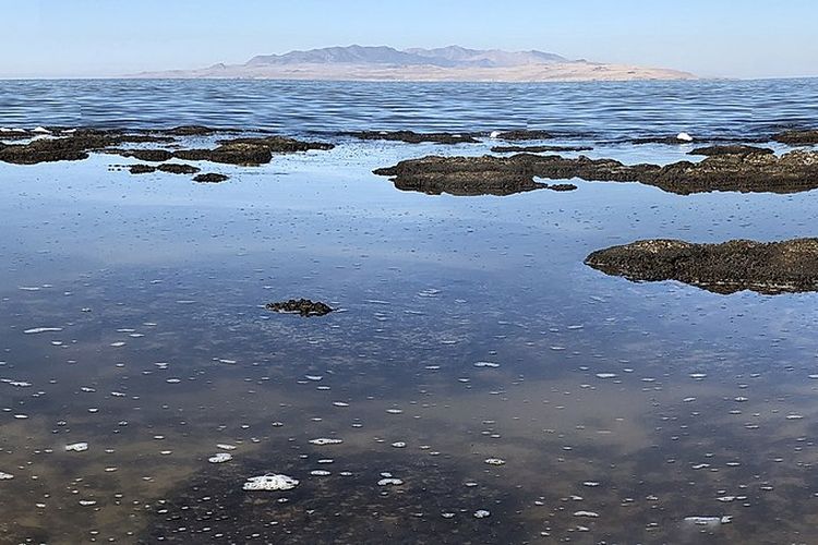 Great Salt Lake, Utah. Peneliti menemukan makhluk hidup multiseluler ketiga yang menghuni Great Salt Lake, Utah, Amerika Serikat.