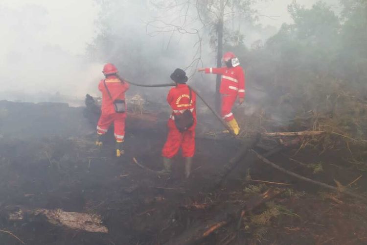 Petugas Manggala Agni berjuang memadamkan api karhutla di Kelurahan Pelintung, Kecamatan Medang Kampai, Dumai, Riau, Sabtu (22/4/2023).