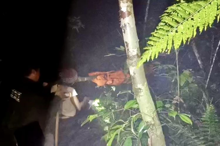 Diduga Hipotermia, Pendaki Solo Meninggal di Gunung Pesagi Lampung